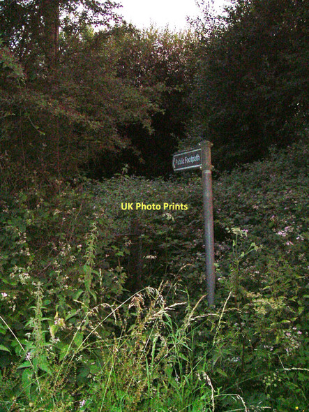 Photo 6"x4" After you! Hensting c2010