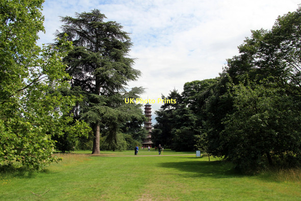 Photo 6"x4" Syon Walk, Kew Gardens, London Brentford c2011 P1