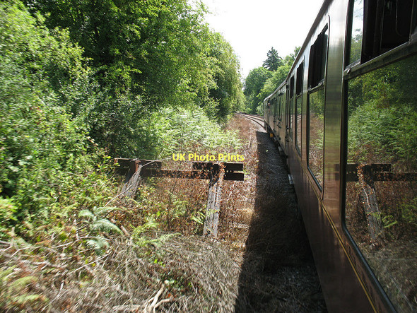 Photo 6"x4" Overgrown siding outside Eridge station Birchden c2011