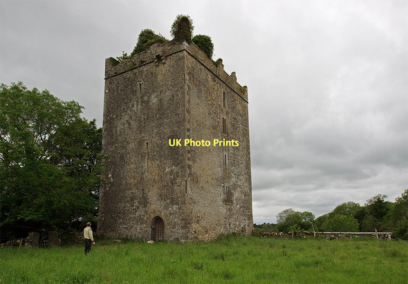 Photo 6"x4" Castles of Leinster: Donore, Westmeath (1) Horseleap c2011