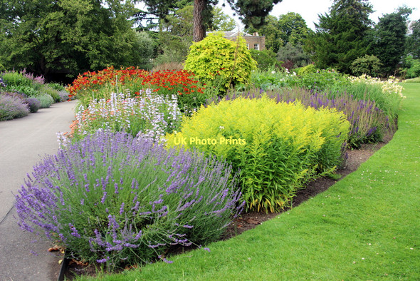 Photo 6"x4" Herbaceous Border, Kew, London Brentford c2011