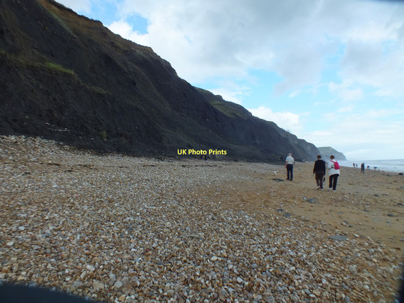 Photo 6"x4" The beach at Charmouth, Dorset Catherston Leweston c2011