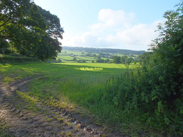 Photo 6"x4" Grazing fields Monkton\/ST1803 c2011
