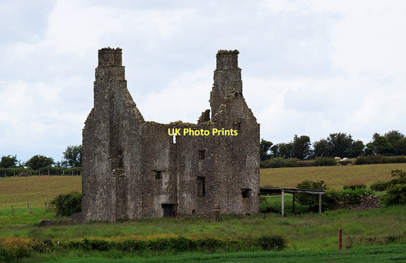 Photo 6"x4" Castles of Leinster: Grange More, Laois (1) Borris in Ossory c2011