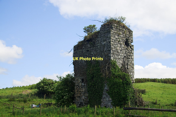 Photo 6"x4" Castles of Leinster: Taghmon, Westmeath Crookedwood c2011