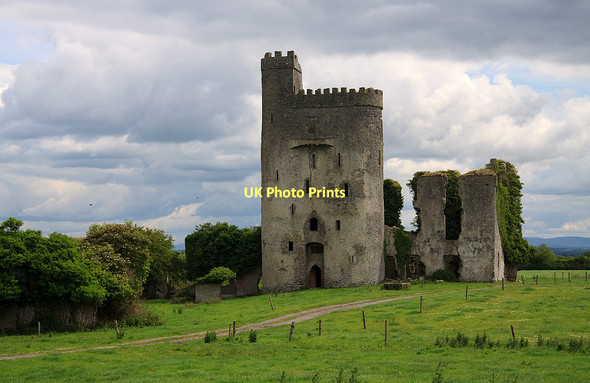 Photo 6"x4" Castles of Leinster: Ballyadams, Laois Ballintubbert c2011