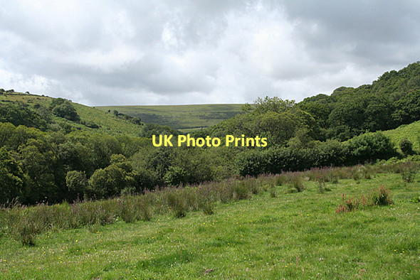 Photo 6"x4" Dartmoor Forest: in the West Dart valley Dartmeet c2011