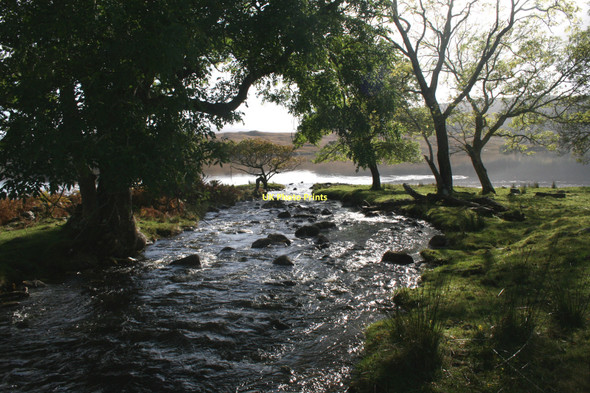 Photo 6"x4" Arienas Burn entering Loch Arienas Loch Arienas c2007