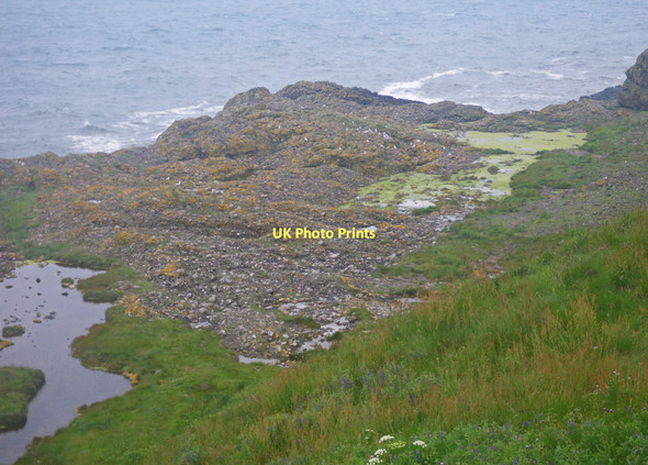 Photo 6"x4" Conglomerate shoreline south of Todhead Point Catterline c2011