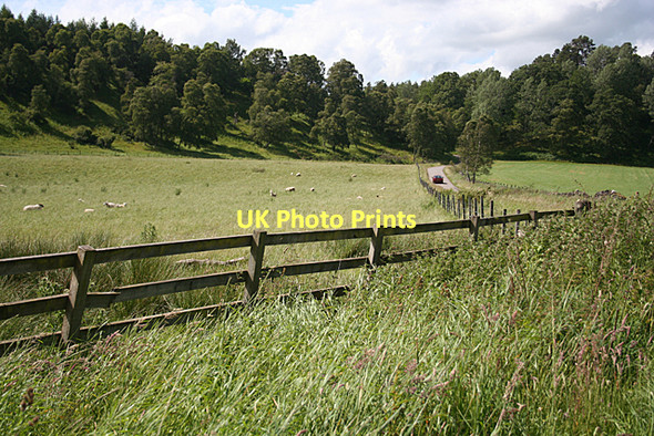 Photo 6"x4" Near Coulmony Ferness c2011