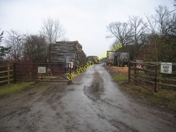 Photo 6"x4" Timber yard near Claydon Claydon\/SP4550 c2006