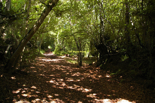 Photo 6"x4" Roadway Lane, leading off Wootton Common Cowbridge\/SS9542 c2011 P2