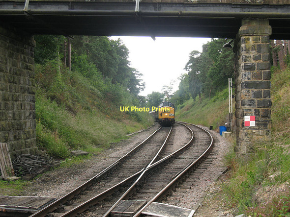 Photo 6"x4" Diesel approaching Groombridge Birchden c2011