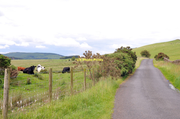 Photo 6"x4" Road from Auchencairn to Ae Auchencairn\/NX9784 c2011