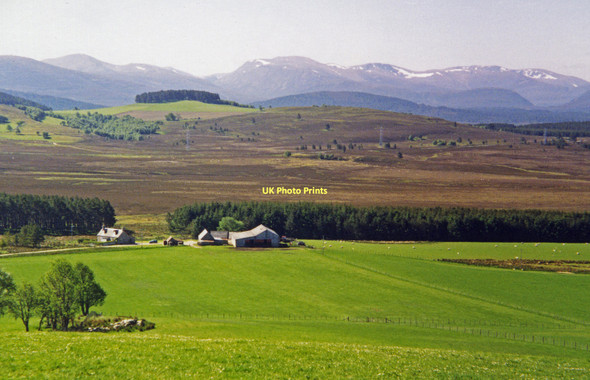 Photo 6"x4" Corriechullie Farm Corriechullie c1999