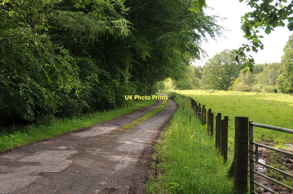 Photo 6"x4" Private road to West Shambellie New Abbey c2011