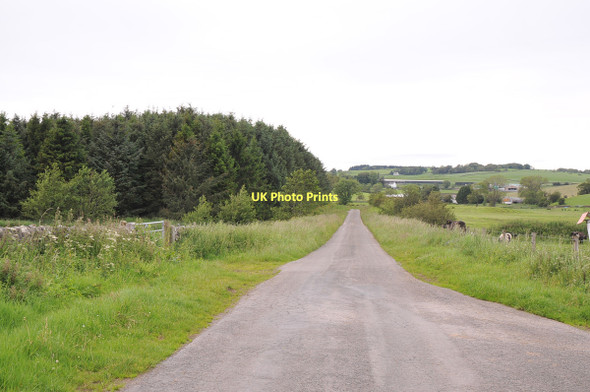 Photo 6"x4" Minor road near Blaiket Mains Hardgate\/NX8166 c2011