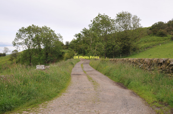 Photo 6"x4" Old quarry access road at Fell Hill Milton\/NX8470 c2011