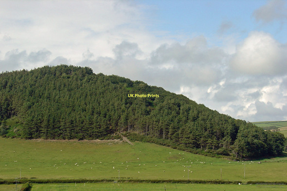 Photo 6"x4" SW slope of Cribin Llwyd, Clarach Clarach c2011