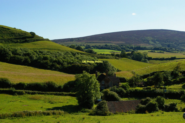 Photo 6"x4" Dunkery Beacon rising behind Tivington Knowle Cowbridge\/SS9542 c2011