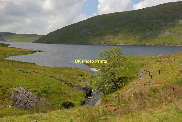 Photo 6"x4" Tree over the Nant-y-moch Nant-y-moch\/SN7786 c2011