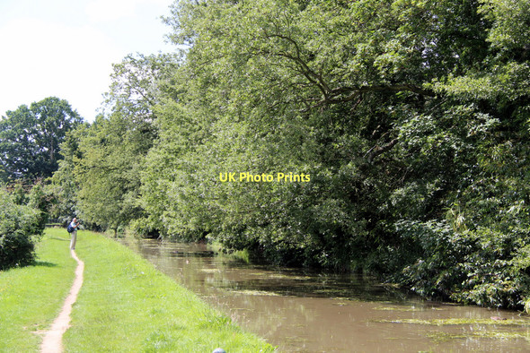 Photo 6"x4" The New River, Broxbourne, Hertfordshire Hoddesdon c2011