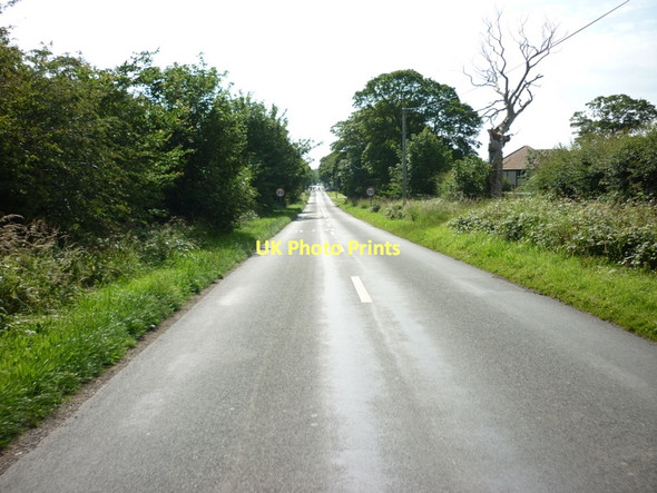 Photo 6"x4" Jewison Lane towards Sewerby Bempton c2011