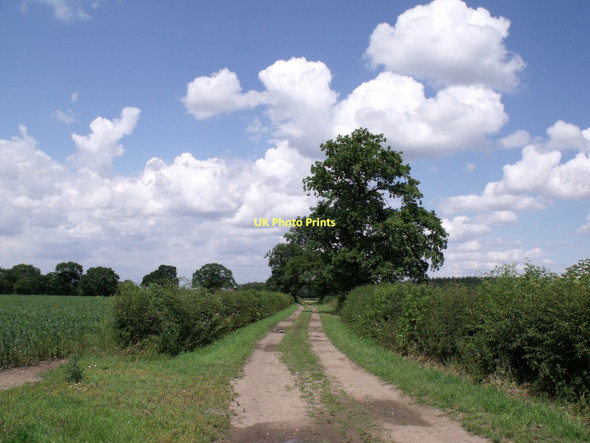 Photo 6"x4" Bridleway to Eagle Barnsdale, near Morton Eagle Barnsdale c2011