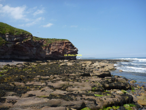 Photo 6"x4" Coastal East Lothian : Rock Platform and Cove Between Bilsdean and Thorntonloch Thorntonloch c2011