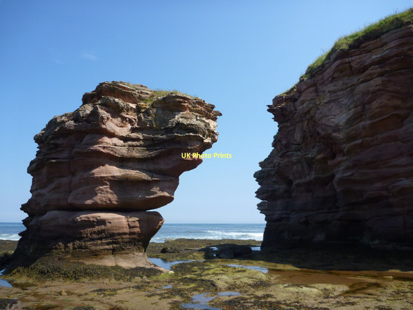 Photo 6"x4" Coastal East Lothian : Stack and Cliffs To The South-East of Thorntonloch Thorntonloch c2011