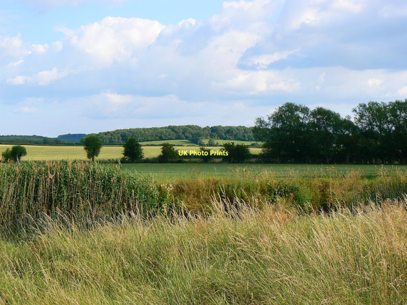 Photo 6"x4" A view south across the Thames near Kelmscott Buscot c2011