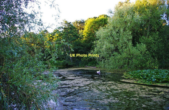 Photo 6"x4" Pond near River Severn, Bewdley Bewdley\/SO7875 c2011
