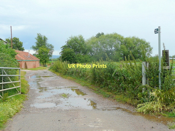 Photo 6"x4" Singleton Farm Sandhurst\/SO8223 c2011