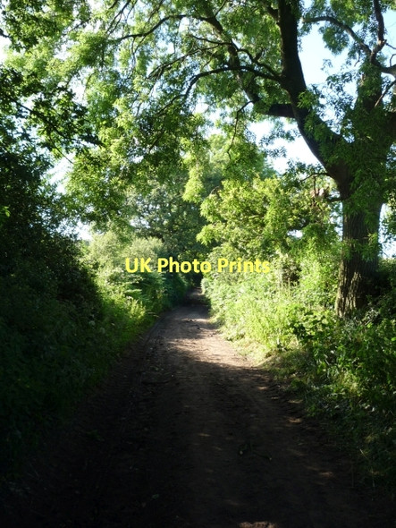 Photo 6"x4" Part of the Sandstone Trail Willington Corner c2011