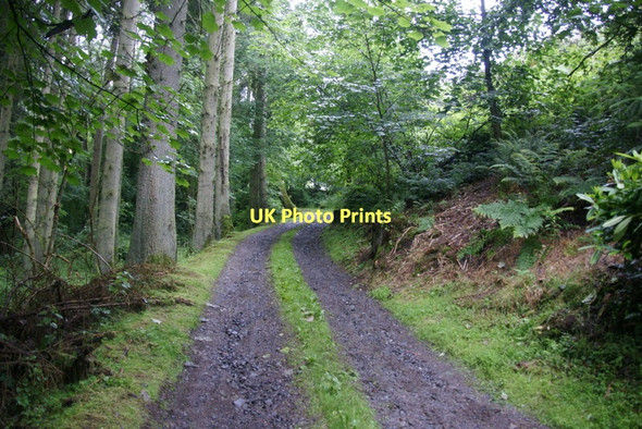 Photo 6"x4" Track to the Tay on the Taymount Estate Cargill c2011