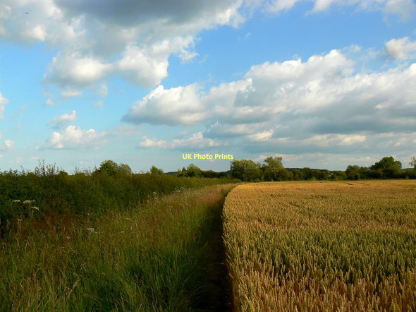 Photo 6"x4" The path to the Thames from Kelmscott Kelmscot c2011