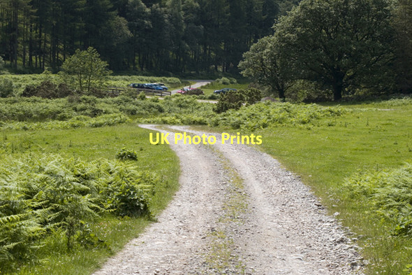Photo 6"x4" Farm and Forest Road in Miterdale Eskdale Green c2011