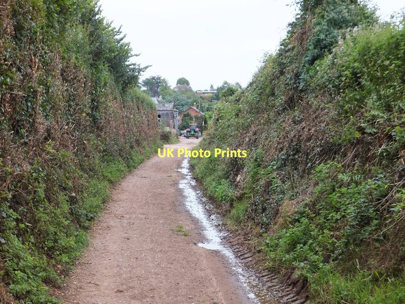Photo 6"x4" The east end of Hayeswood Lane Budleigh Salterton c2011