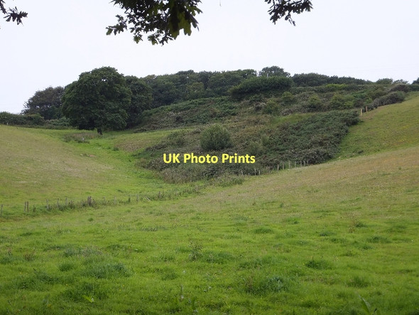 Photo 6"x4" Hayes Wood Budleigh Salterton c2011