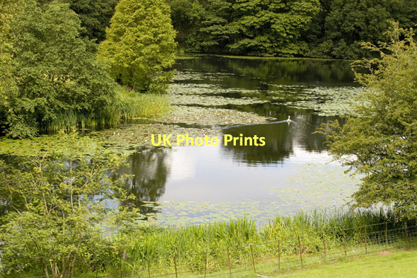 Photo 6"x4" Holehird Tarn Windermere\/SD4198 c2011