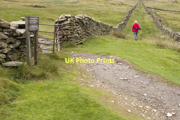 Photo 6"x4" Nanny Lane High Green\/NY4103 c2011