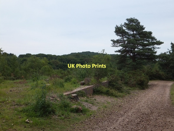 Photo 6"x4" Foundations of a former building on East Budleigh Common Budleigh Salterton c2011