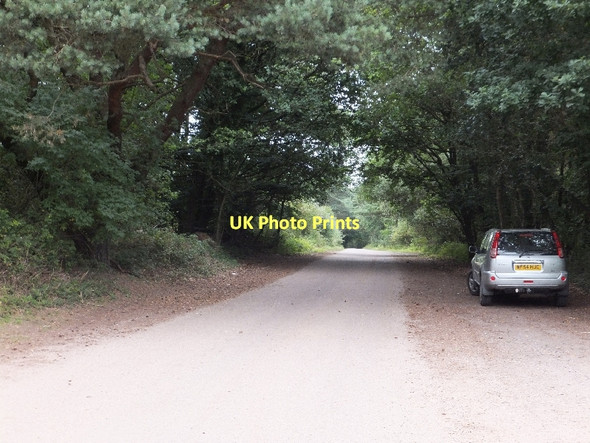 Photo 6"x4" The road to Yettington across East Budleigh Common Budleigh Salterton c2011