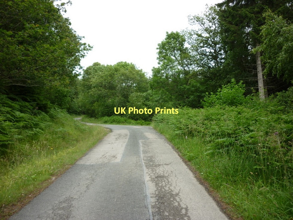 Photo 6"x4" Hardigate Road, Newtondale Forest Drive Stape c2011