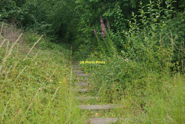 Photo 6"x4" Railway at Little Eaton Little Eaton c2011