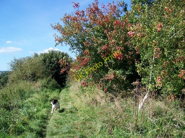 Photo 6"x4" Footpath near Tisbury Tisbury c2009