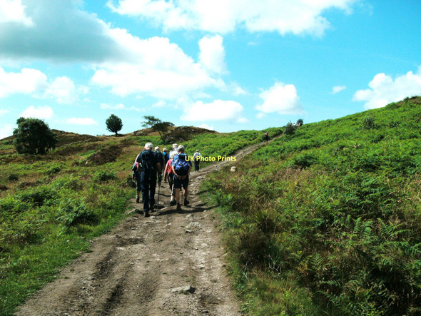 Photo 6"x4" The track over Bigland Allotment Backbarrow c2011