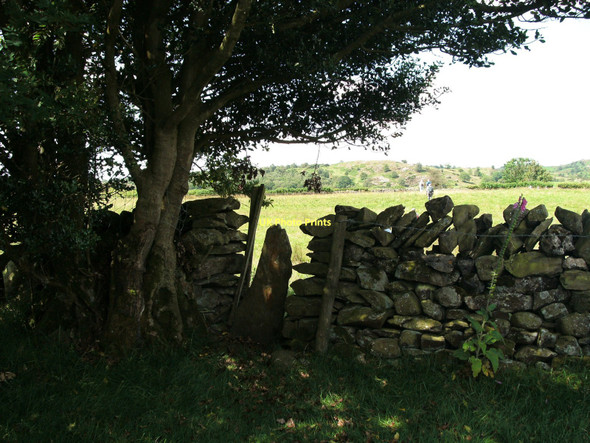 Photo 6"x4" Stile in wall near Thompson Wood Seatle c2011