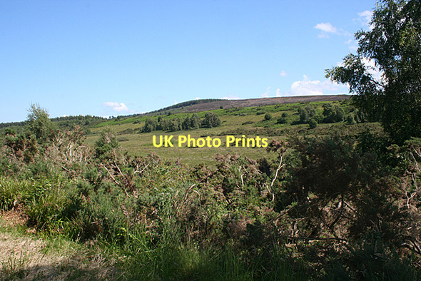 Photo 6"x4" Near Finglack Leanach\/NH7544 c2011
