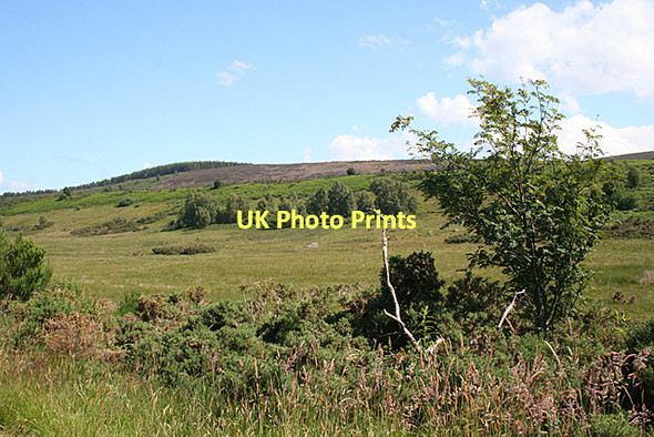 Photo 6"x4" Above Croygorston Leanach\/NH7544 c2011